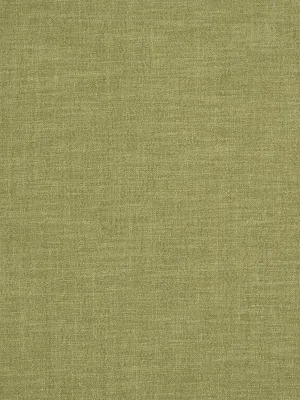 Alpine - Moss