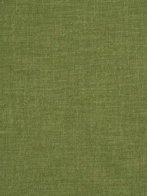 Alpine - Palm