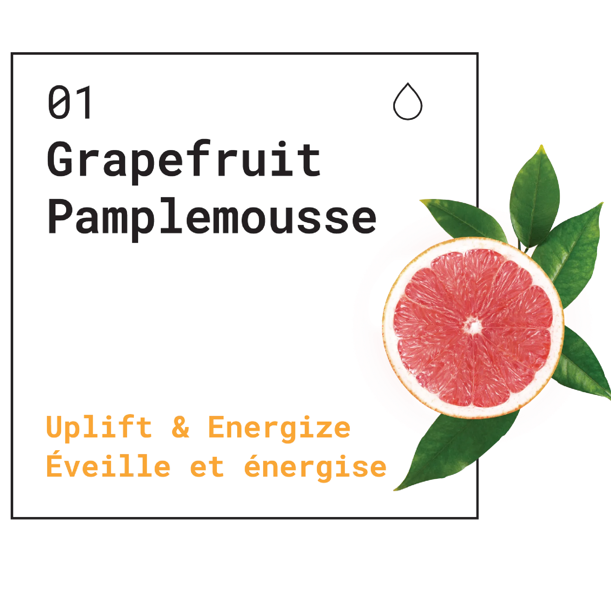 Bath & Body Wash Lavandin Grosso & Grapefruit (Lavandin & Citrus)
