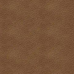 Bolsena Queen Sofa Sleeper