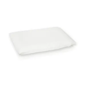 Case for pillow with memory foam