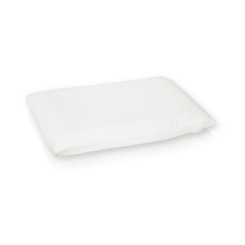 Case for pillow with memory foam