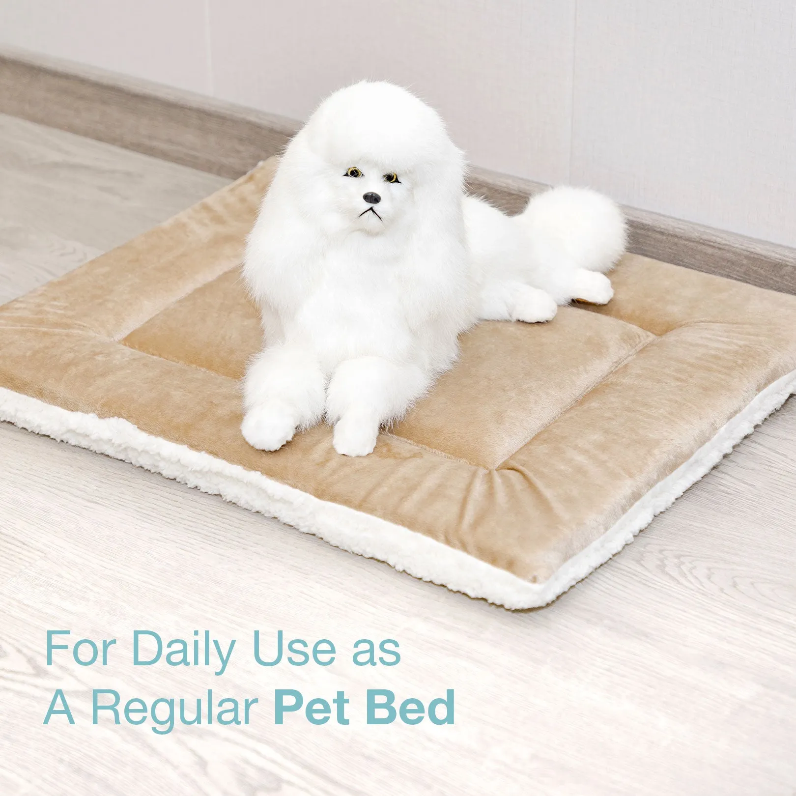 CT001  Multi-Use Pet Mat