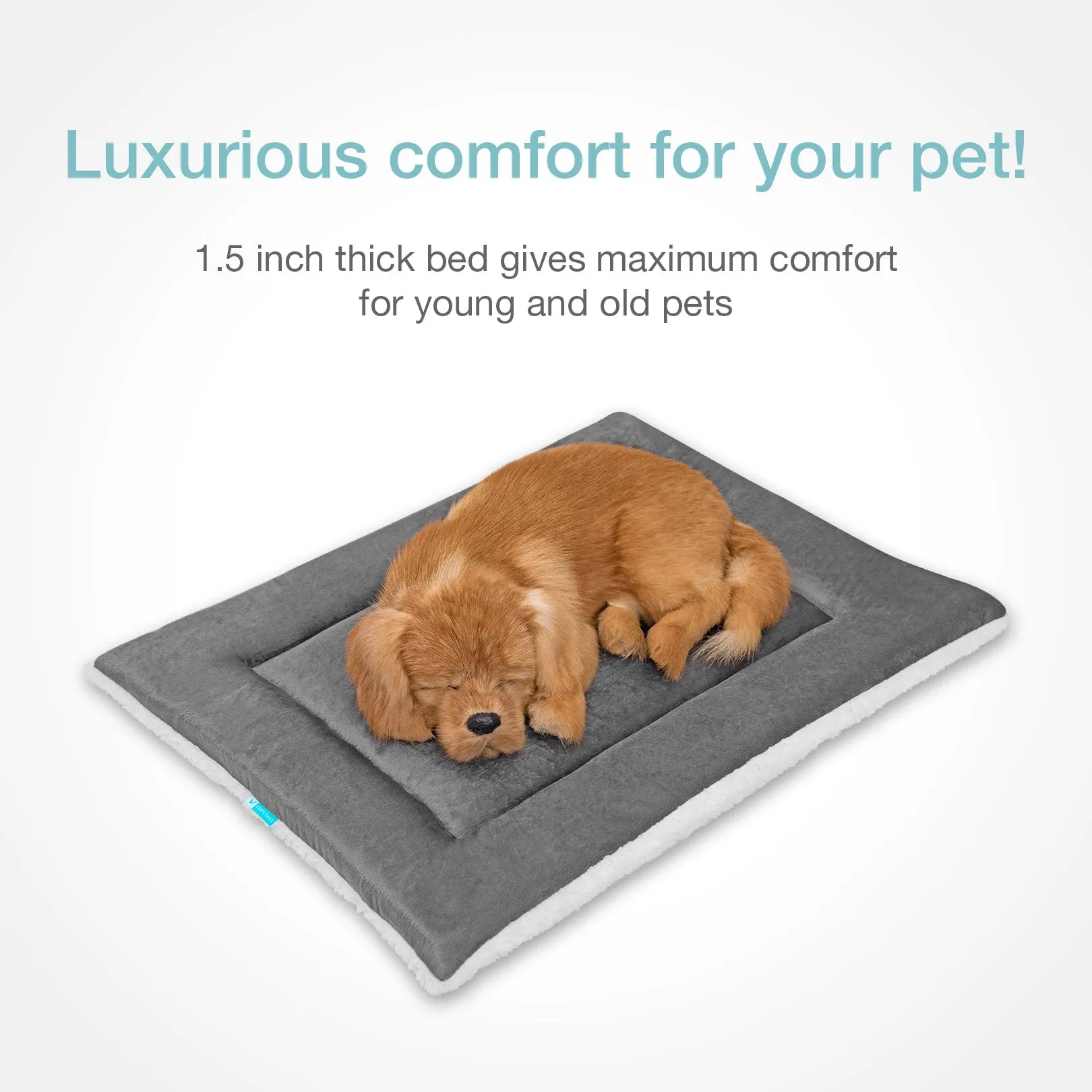 CT001  Multi-Use Pet Mat