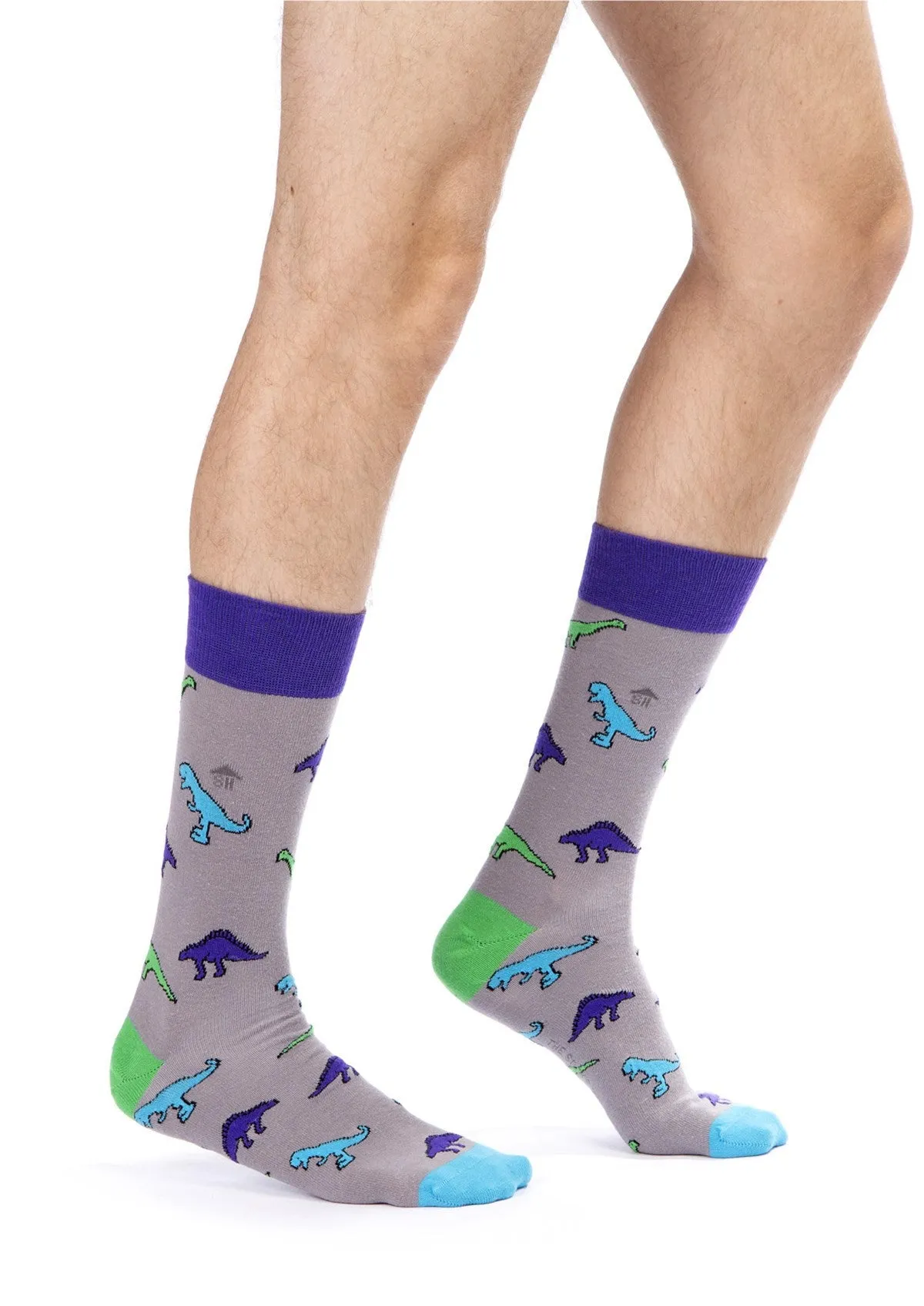 Dinosaur Design Men Socks