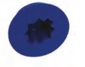 Easy Water Filler Cap Blue