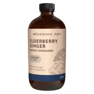 Elderberry & Ginger Syrup