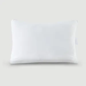FlexCool Memory Foam Pillow