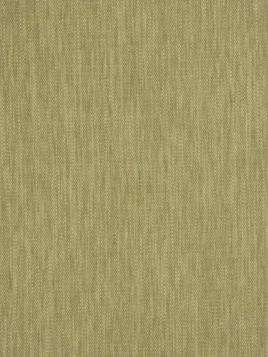 Ghent - Olive