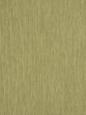 Ghent - Olive