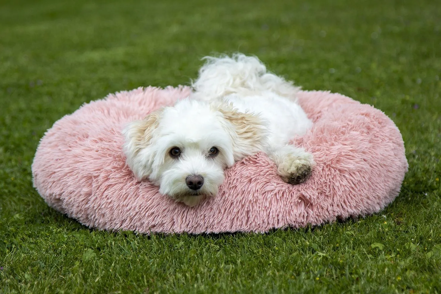 HKM Dog Bed Fluffy