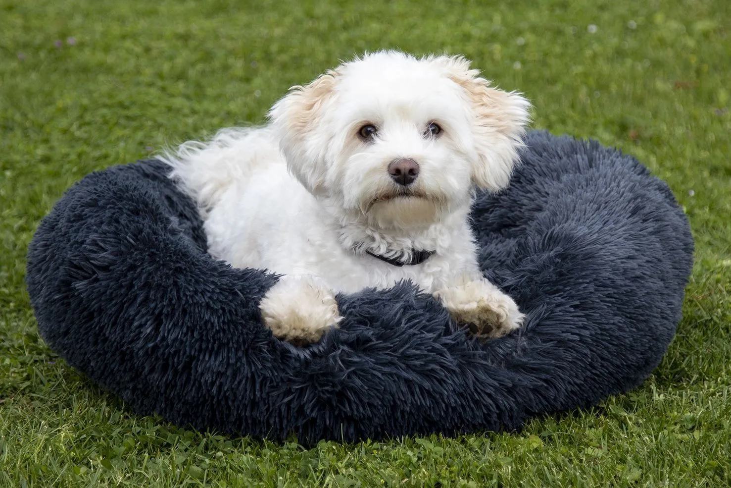 HKM Dog Bed Fluffy