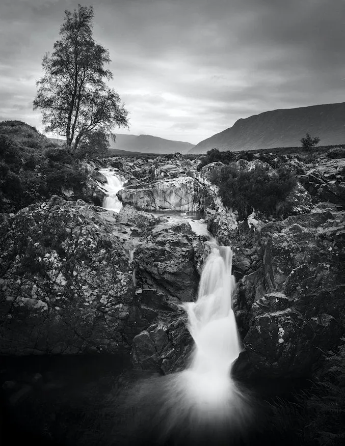 Ilford Ortho Plus 80 - 120 Film