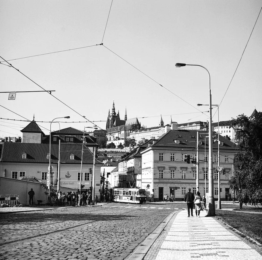 Ilford Ortho Plus 80 - 120 Film