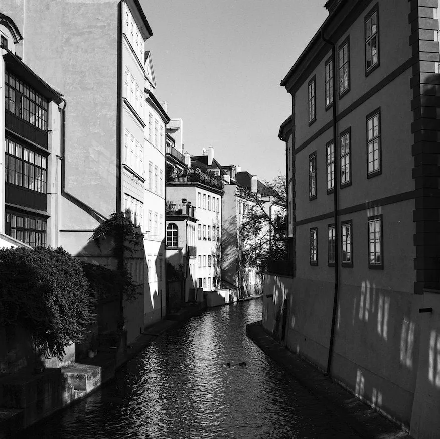 Ilford Ortho Plus 80 - 120 Film
