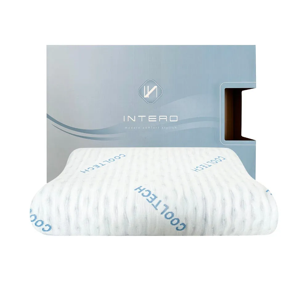 Intero CoolTECH Air Pass Charcoal Memory Foam Contour Pillow
