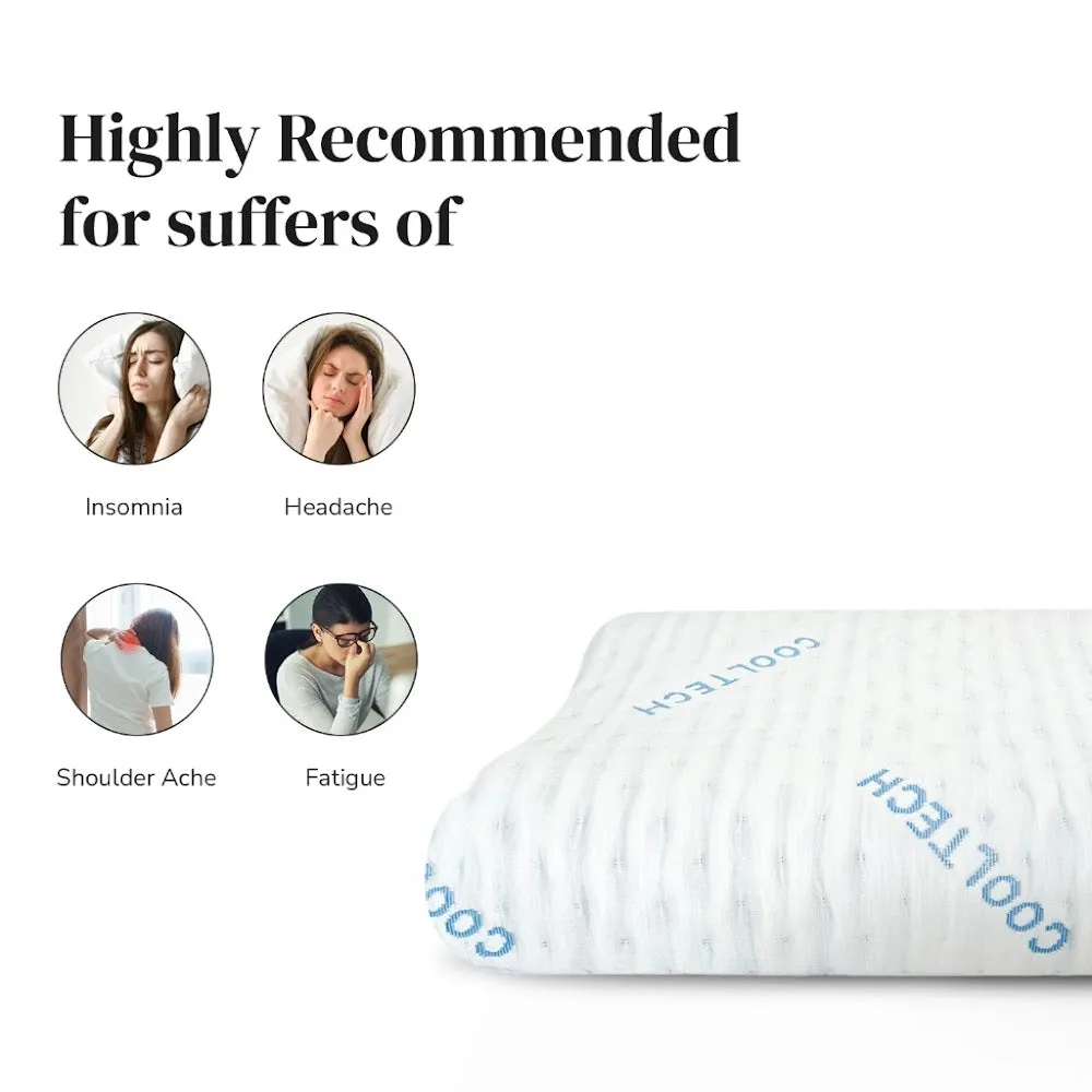Intero CoolTECH Air Pass Charcoal Memory Foam Contour Pillow
