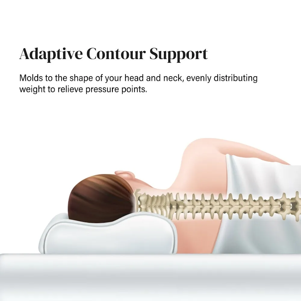Intero CoolTECH Air Pass Charcoal Memory Foam Contour Pillow