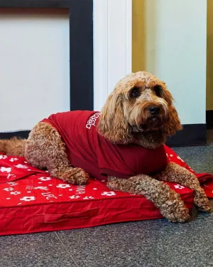 LFC Pet Mattress