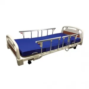 Lifeline Electric Hospital Low Bed with 4 Side Rails 1057