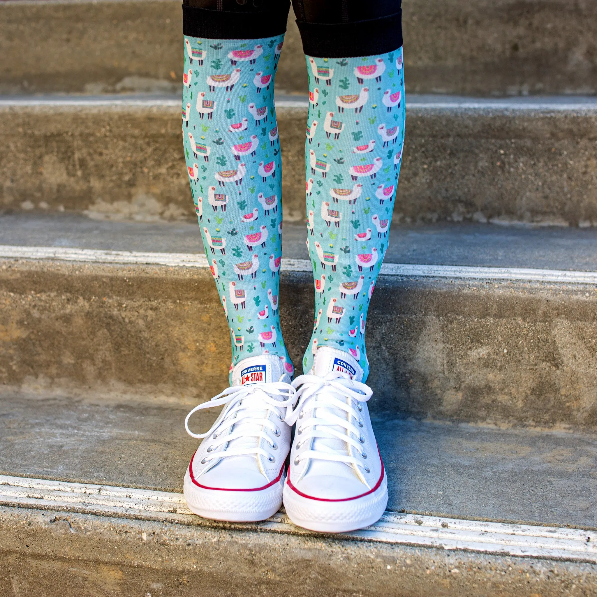 Llamazing - Dreamers and Schemers Socks