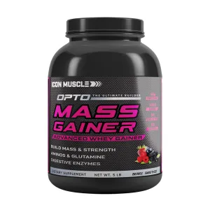 Mass Gainer