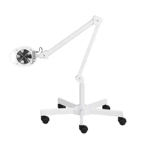Momo Dust Absorber on the  Pantograph 6606