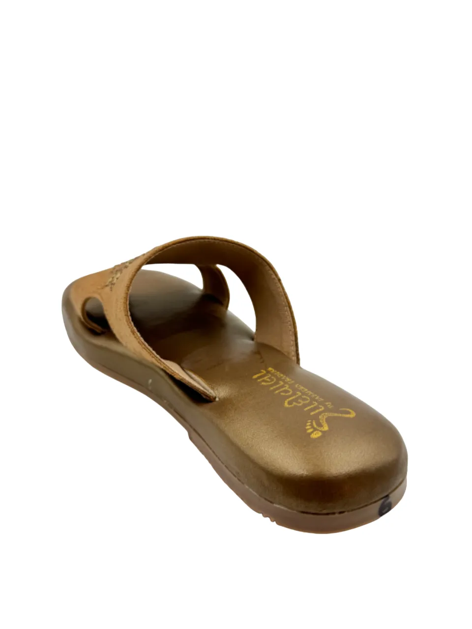 Ortho Evergreen Gaadiwala GD03