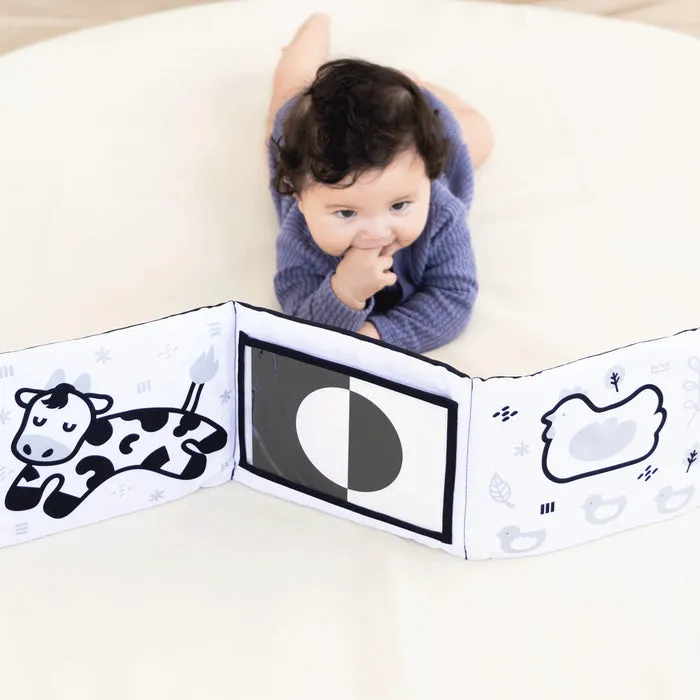 Pearhead Developmental Toys Learning Set - 0-6 Months