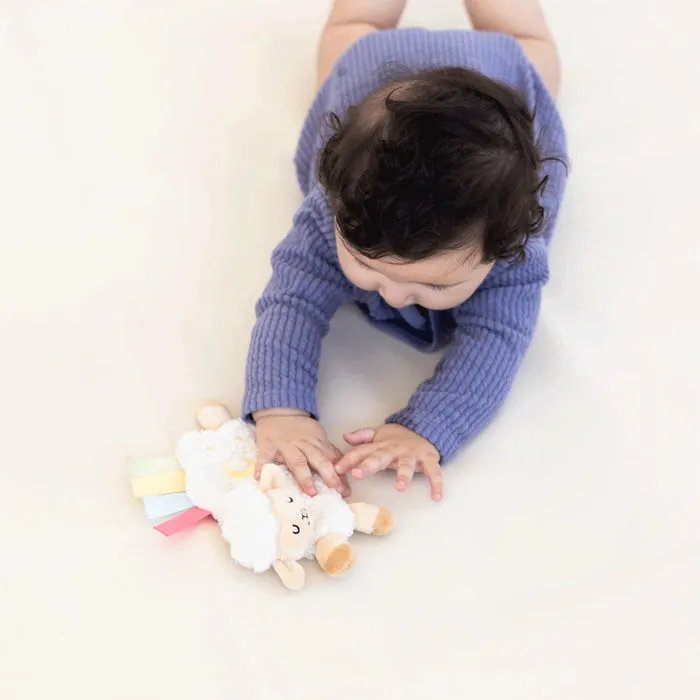 Pearhead Developmental Toys Learning Set - 0-6 Months