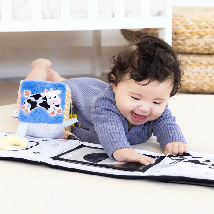 Pearhead Developmental Toys Learning Set - 0-6 Months