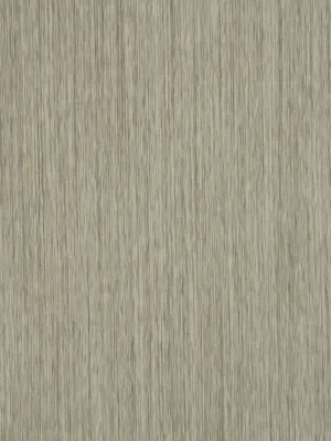 Pintura - Birch