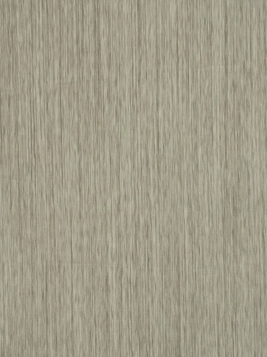 Pintura - Birch