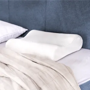 Putnams Anti Snore Pillow with Memory Foam