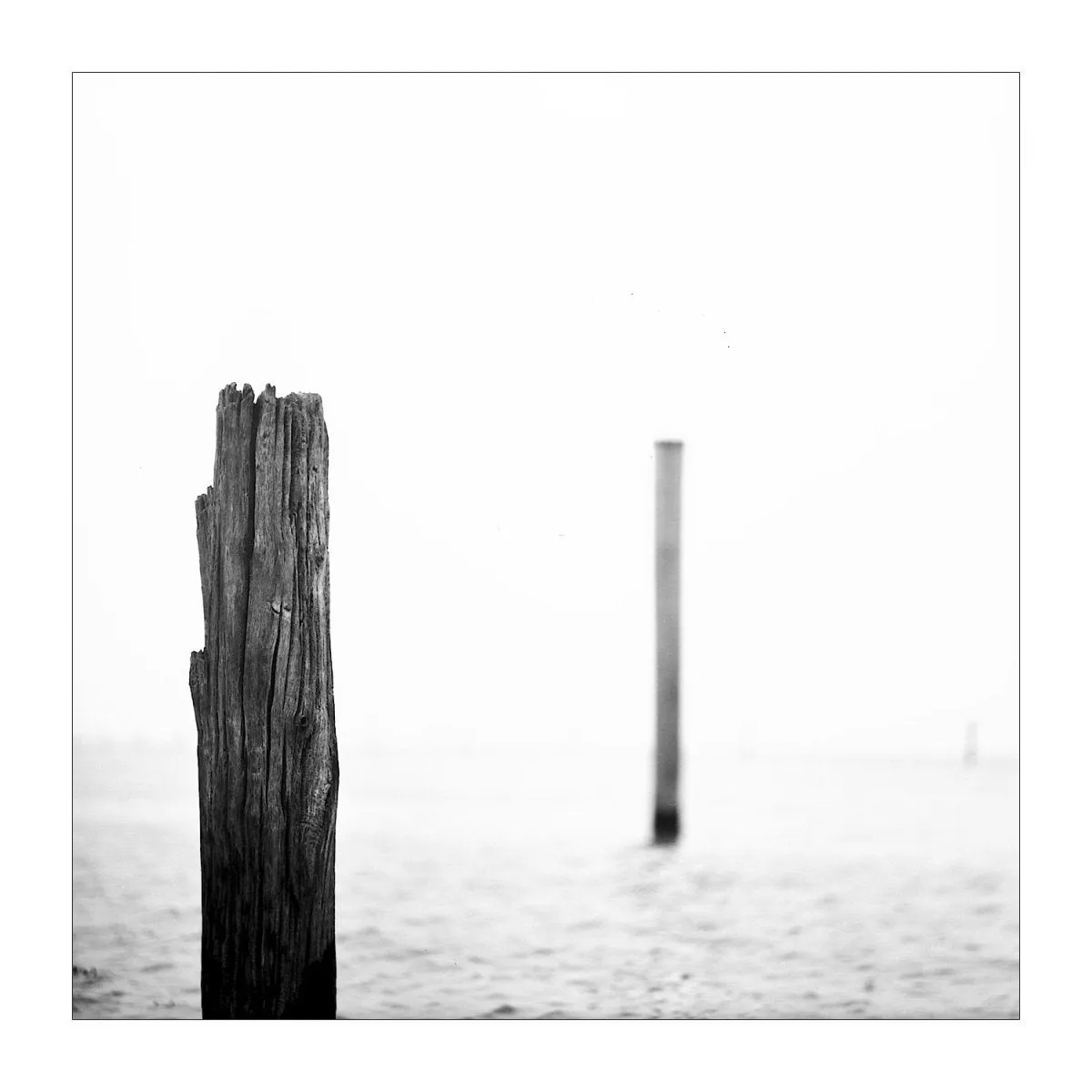 Rollei Ortho 25 - 120 Film - EXPIRED
