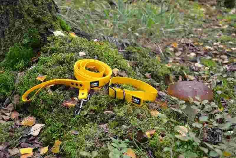 Rukka Pets Biodipro Collar Apricot