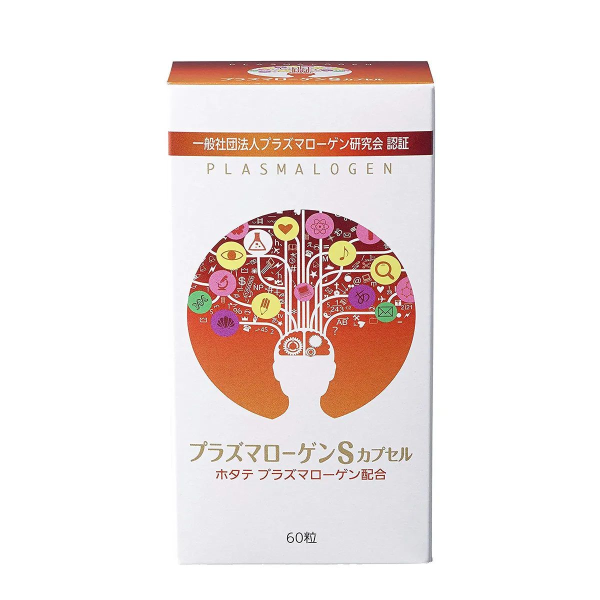 Scallop Plasmalogen 60capsules 30days