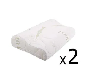 Set of 2 Bamboo Pillow with Memory Foam