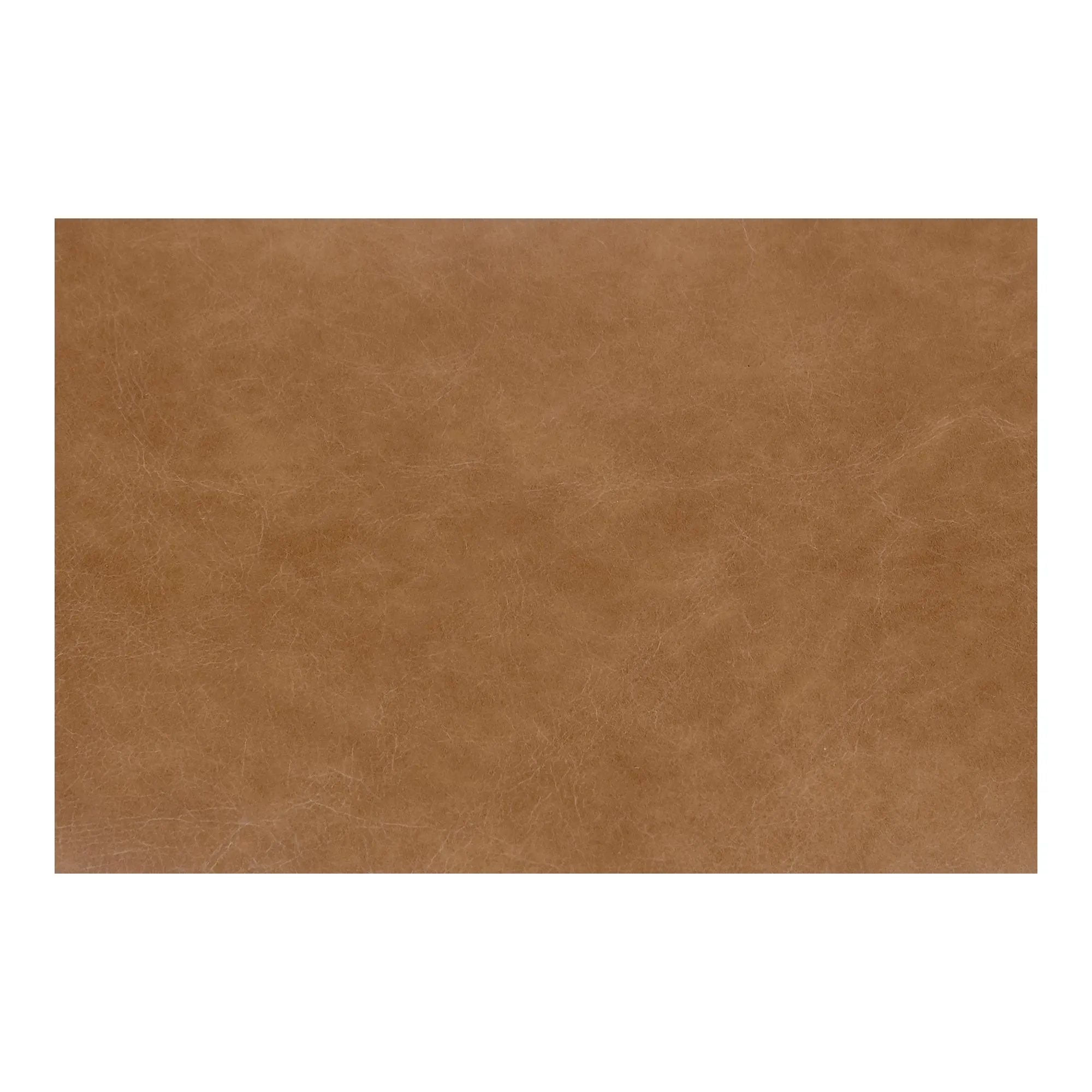 Sophisticated Leather Minimalist Dining Duo