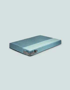 United Pets - RONFIE 3D - Materasso medio per cani in Memory Foam Verde