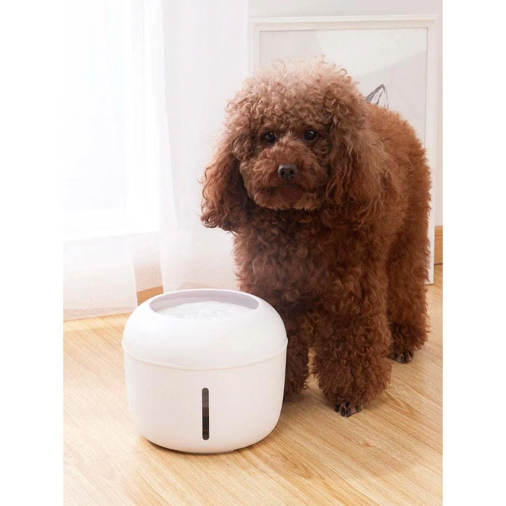 Water Fountain for Pets