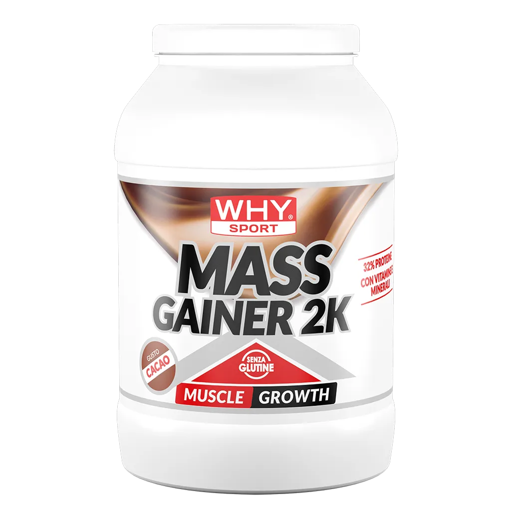 Why Sport Mass Gainer 2K 2kg Cacao Cioccolato in Polvere per Massa e Recupero