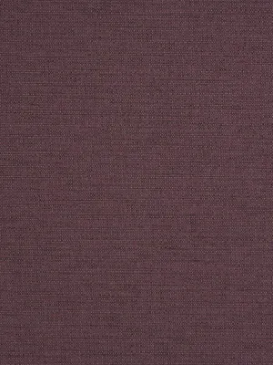 Zuma - Amethyst