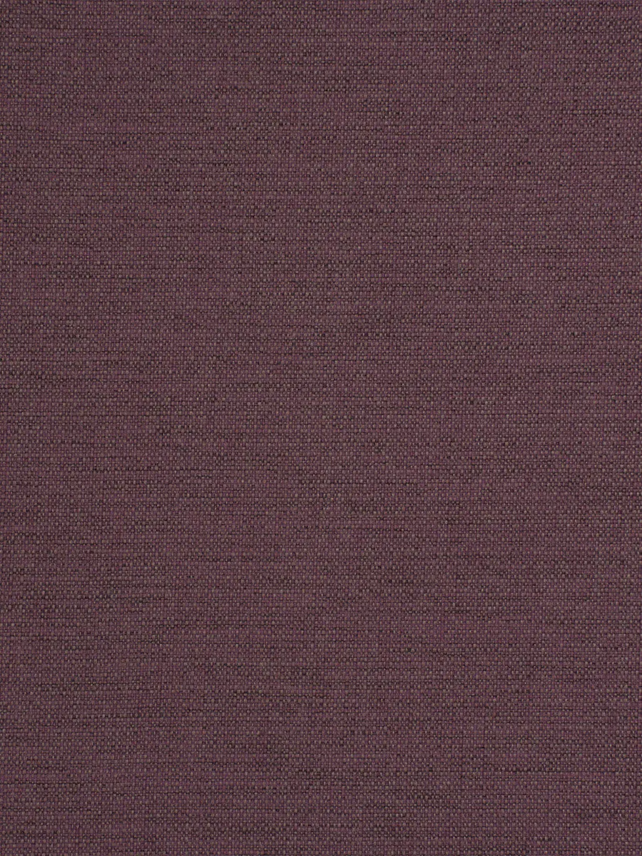 Zuma - Amethyst